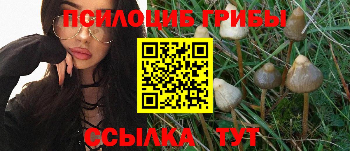 Салехард  Псилоцибиновые грибы мицелий  Вход с VPN 